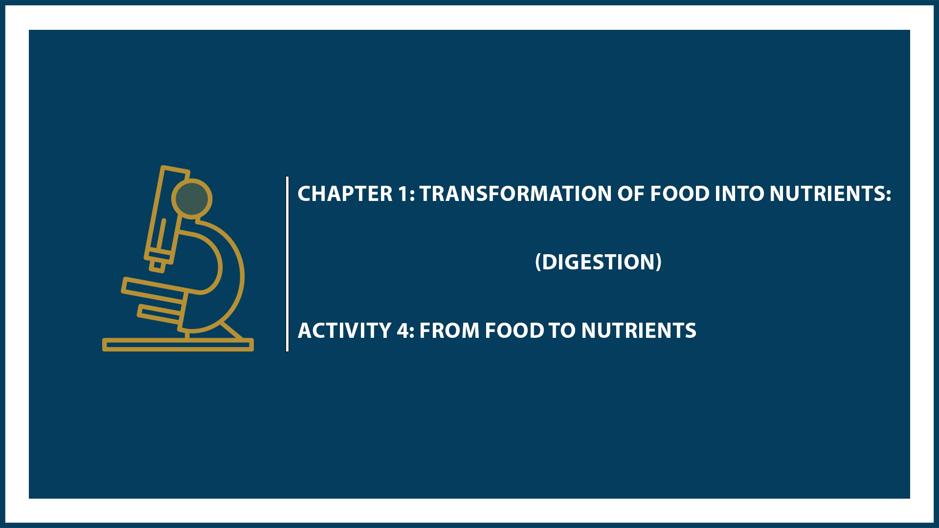Chapter 1: Digestion - Activity 4: From Food to Nutrients